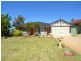 7 Celadon Loop, Banksia Grove WA 6031