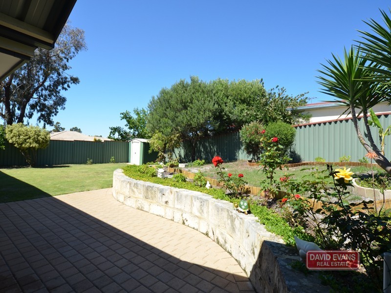 7 Celadon Loop, Banksia Grove WA 6031