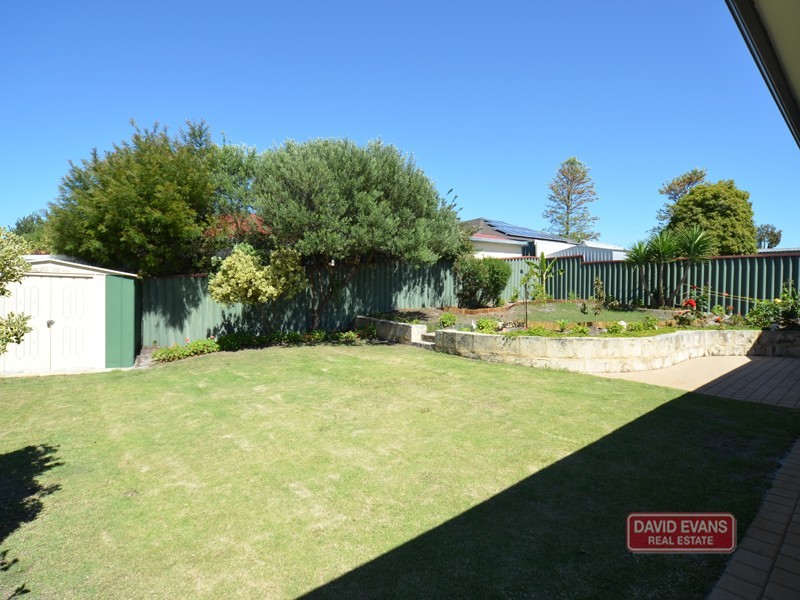 7 Celadon Loop, Banksia Grove WA 6031