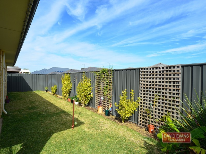 16 Boldwood Road, Banksia Grove WA 6031