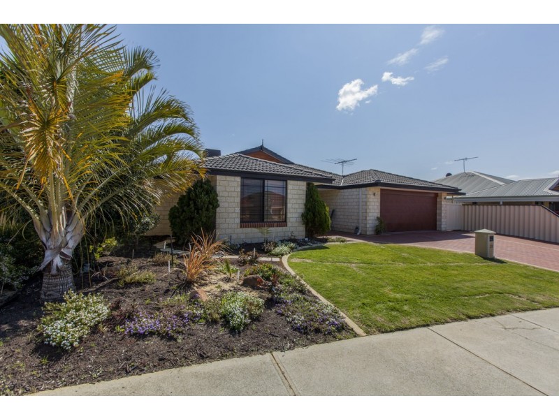 39 Compar Road, Banksia Grove WA 6031