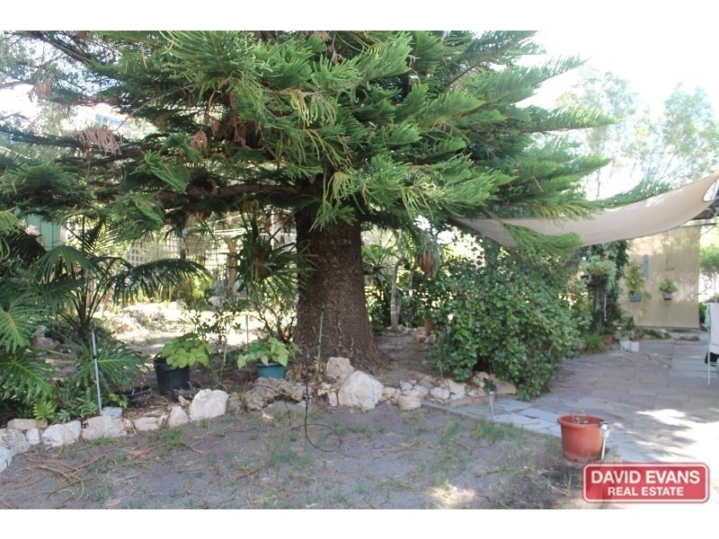 6 Abalone Place, Burns Beach WA 6028