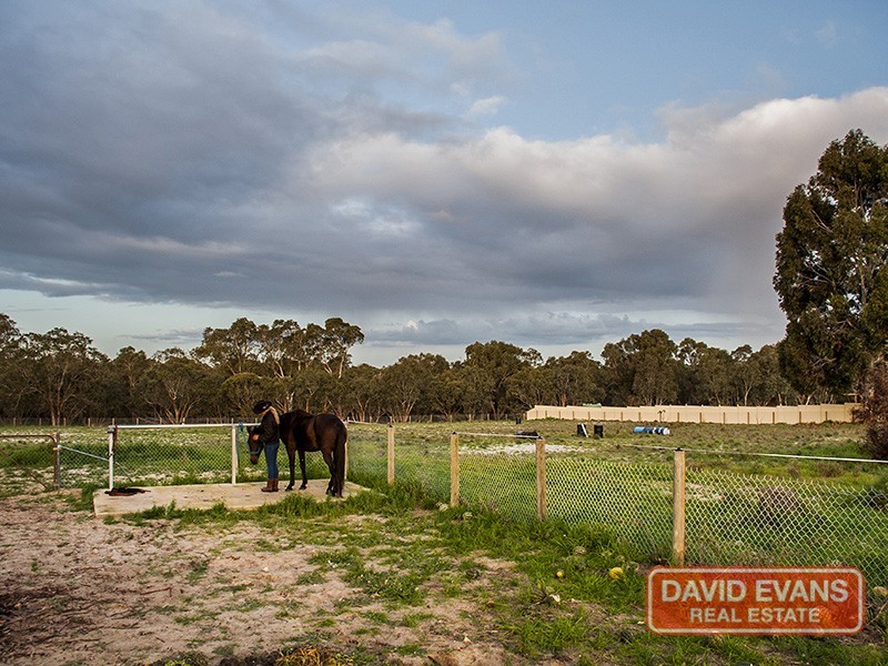 21 Lee-Steere Dr, Mariginiup WA 6078