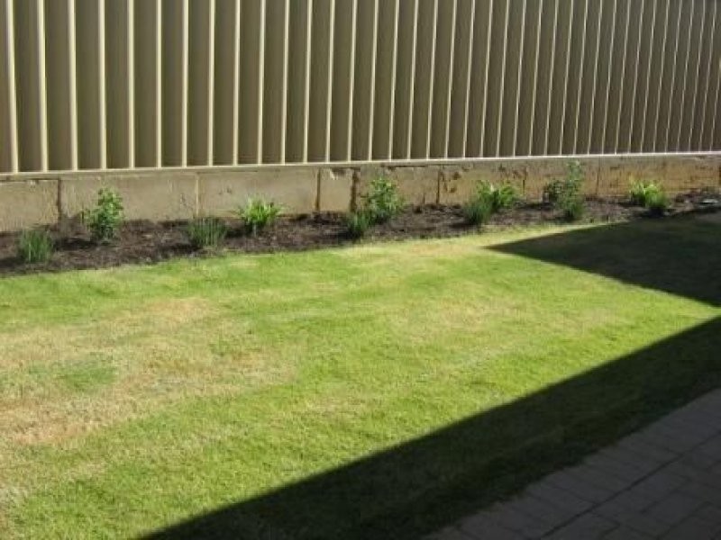 80 Shepperton Drive, Butler WA 6036