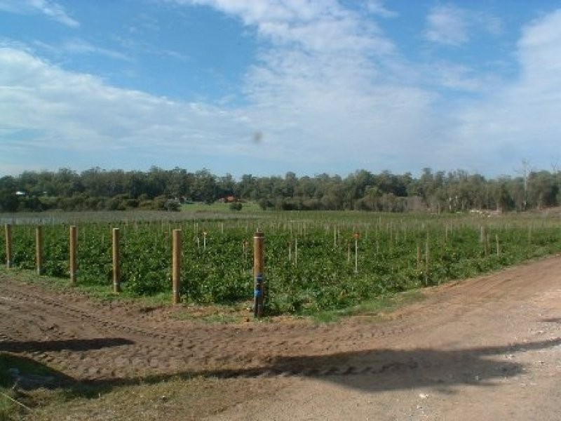 219 Bernard Road, Carabooda WA 6033