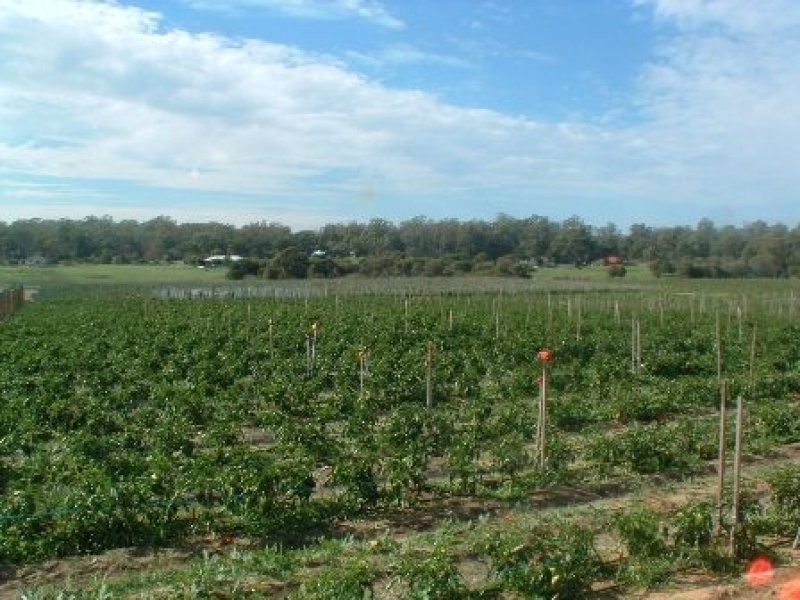 219 Bernard Road, Carabooda WA 6033