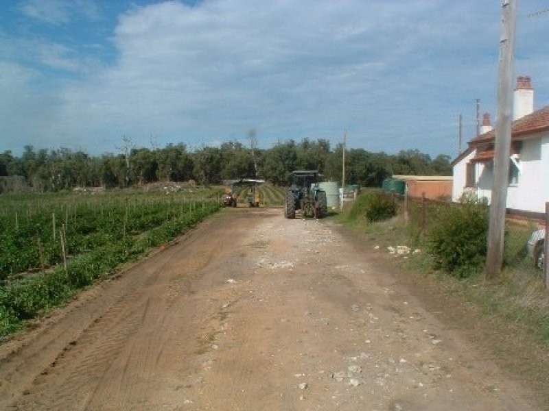 219 Bernard Road, Carabooda WA 6033