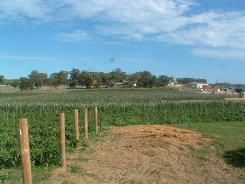 219 Bernard Road, Carabooda WA 6033