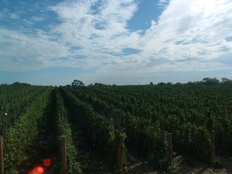 3080 Wanneroo Road, Carabooda WA 6033