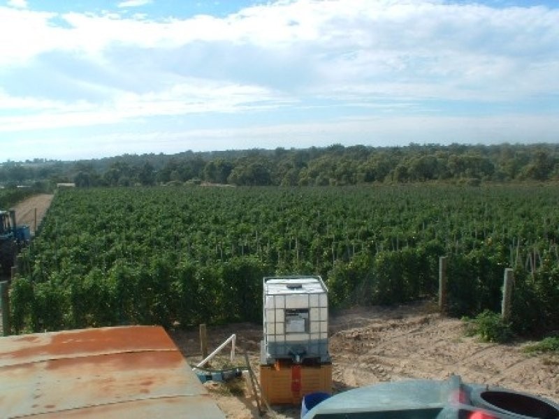 3080 Wanneroo Road, Carabooda WA 6033