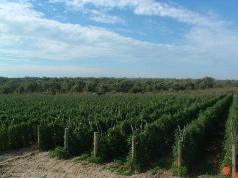 3080 Wanneroo Road, Carabooda WA 6033