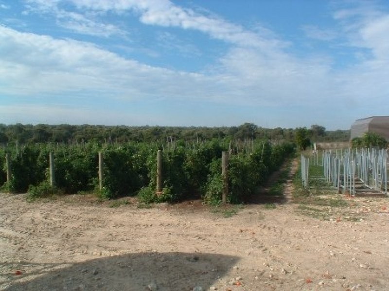 3080 Wanneroo Road, Carabooda WA 6033