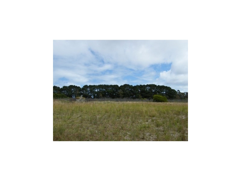 292 Carabooda Road, Carabooda WA 6033