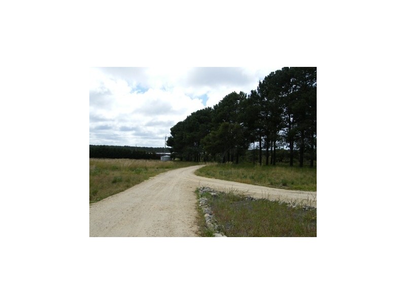 292 Carabooda Road, Carabooda WA 6033