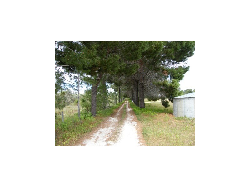 292 Carabooda Road, Carabooda WA 6033