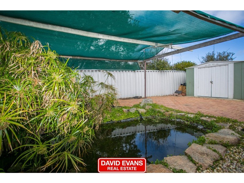 59 Mint Circuit, Banksia Grove WA 6031