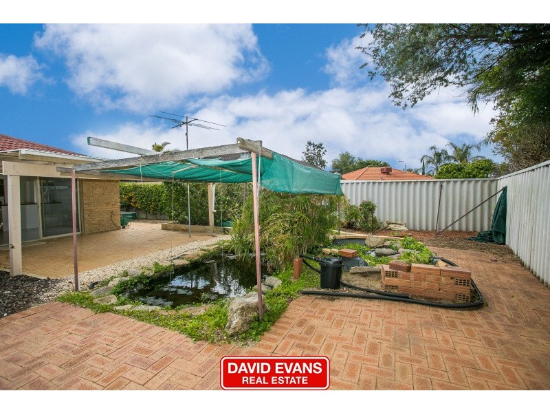 59 Mint Circuit, Banksia Grove WA 6031