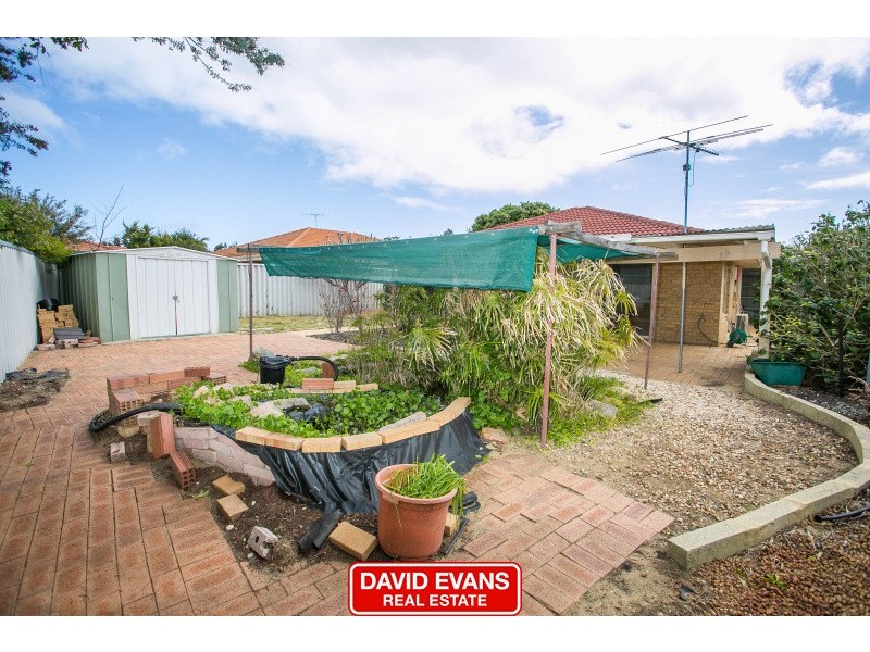 59 Mint Circuit, Banksia Grove WA 6031