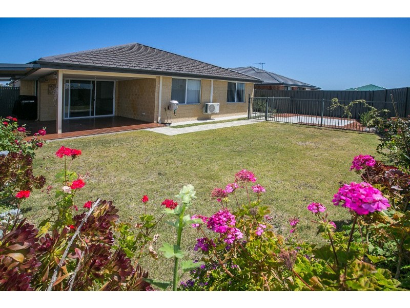 49 Teasel Way, Banksia Grove WA 6031