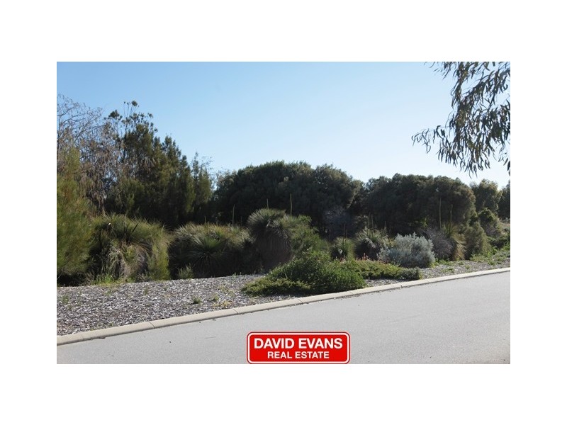 24 Spinifex Loop, Yanchep WA 6035