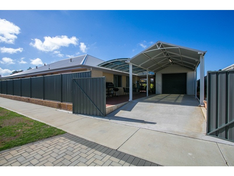14 Salwood Loop, Banksia Grove WA 6031