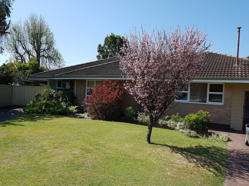 20 Greenacre Street, Dianella WA 6059