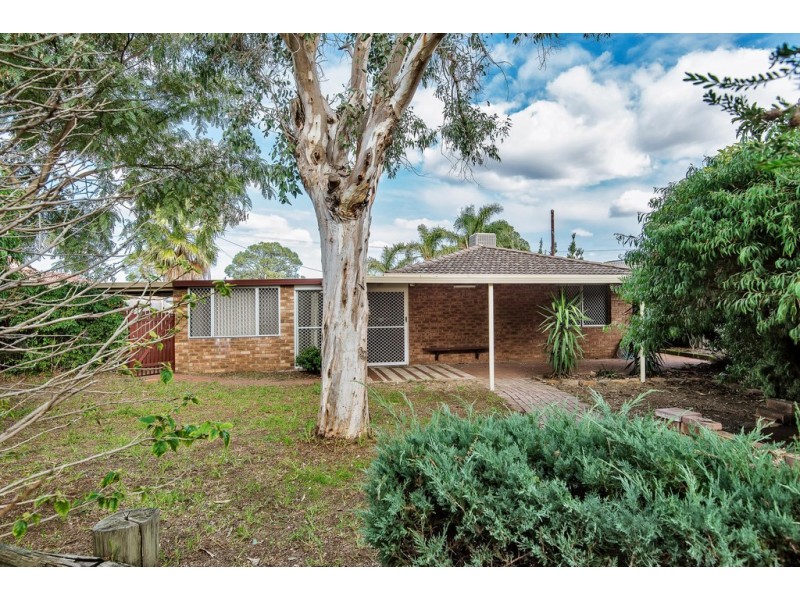 46 Wanjina Crescent, Wanneroo WA 6065