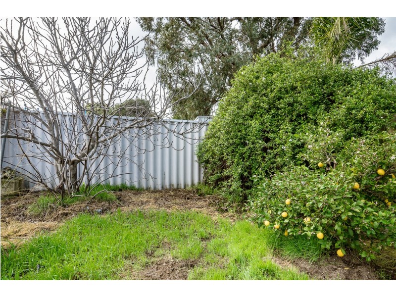 36 Wonambi Way, Wanneroo WA 6065