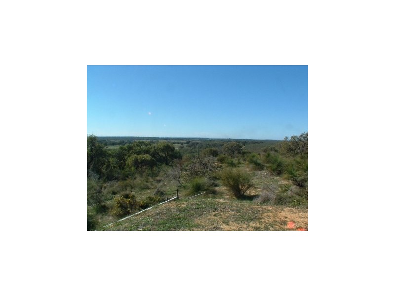 699 Chitna Rd, Neergabby WA 6503