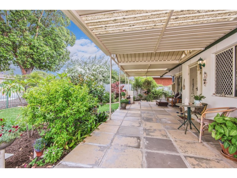 51 Dallas Crescent, Wanneroo WA 6065