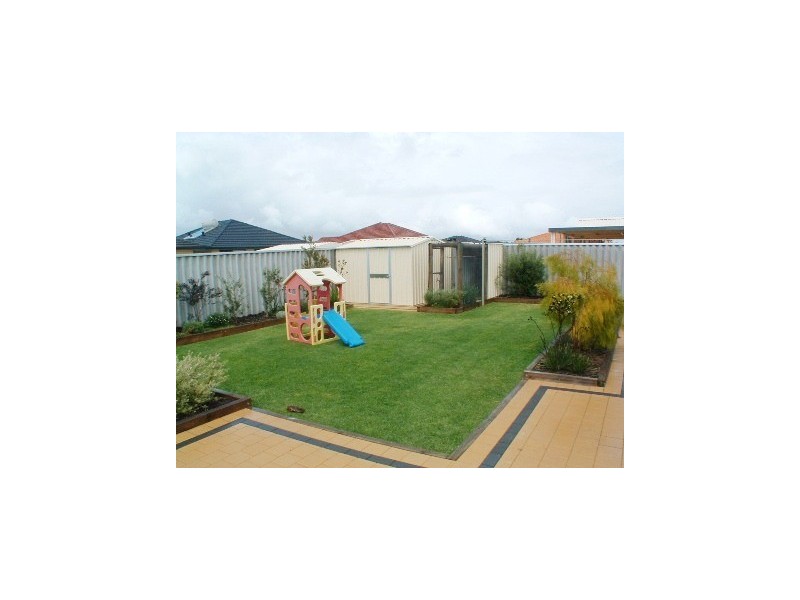 17 Dentata Street, Banksia Grove WA 6031