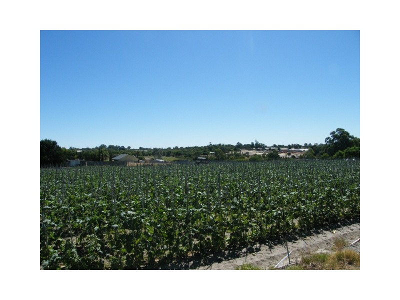 78  Jambanis Road, Wanneroo WA 6065