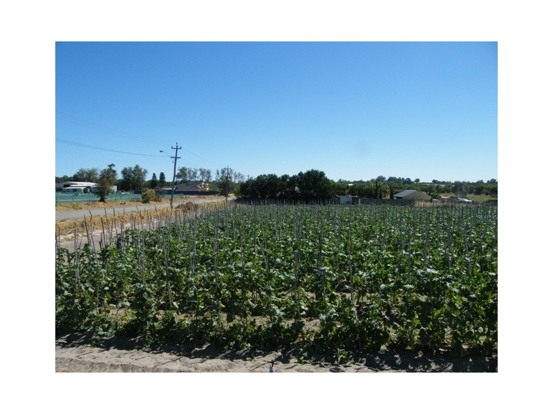 78  Jambanis Road, Wanneroo WA 6065