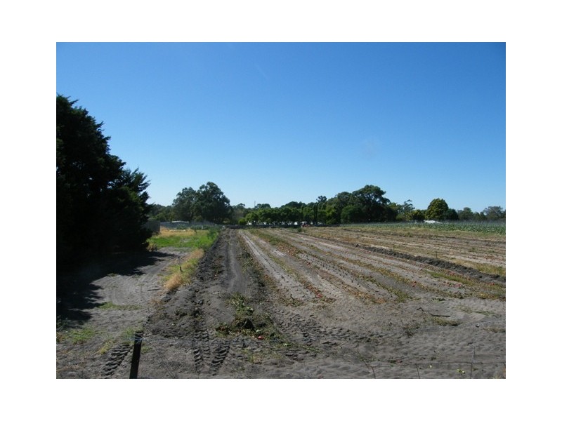 78  Jambanis Road, Wanneroo WA 6065