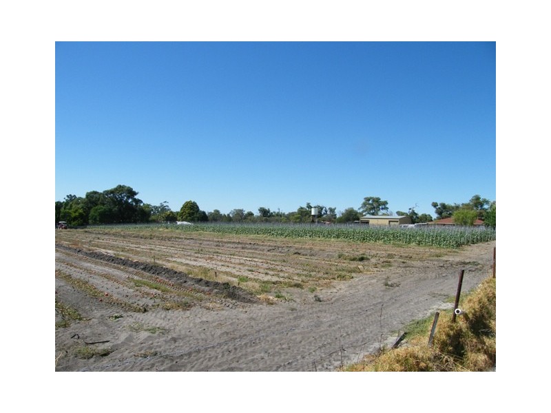 78  Jambanis Road, Wanneroo WA 6065