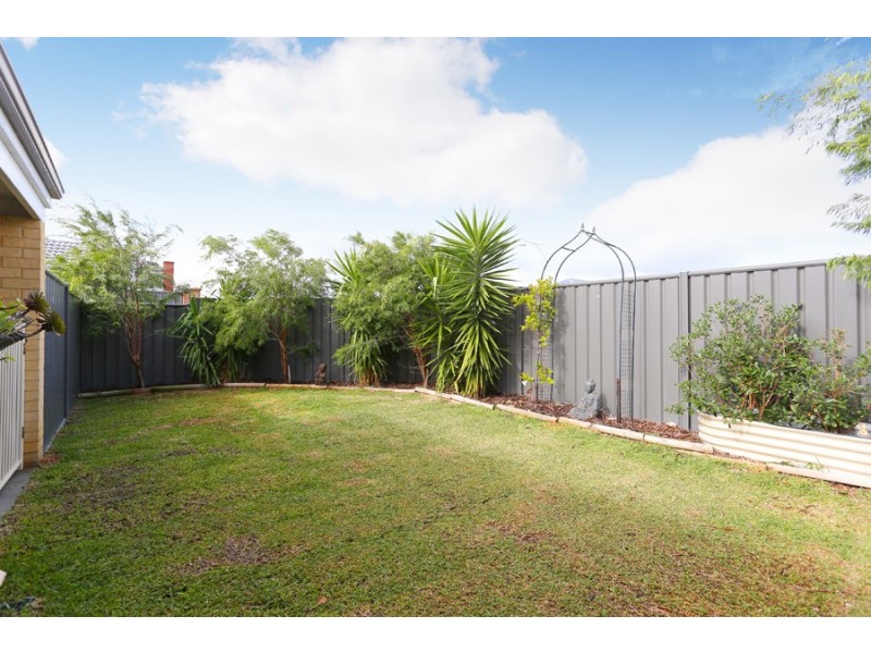 47 Willard Circuit, Banksia Grove WA 6031