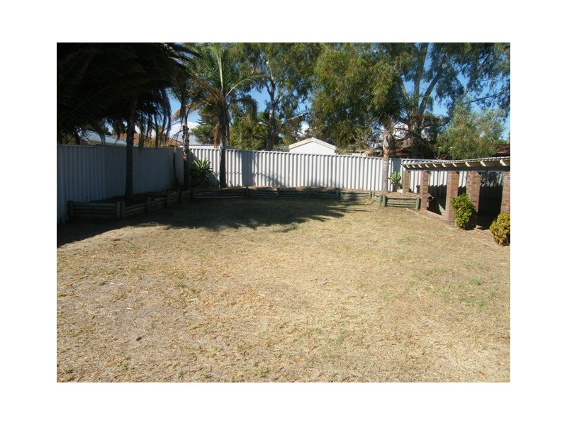 11 Sapling Way, Hocking WA 6065