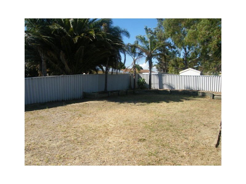 11 Sapling Way, Hocking WA 6065