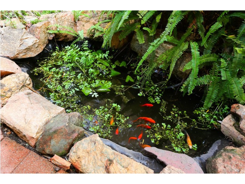 7 Wardong Place, Wanneroo WA 6065