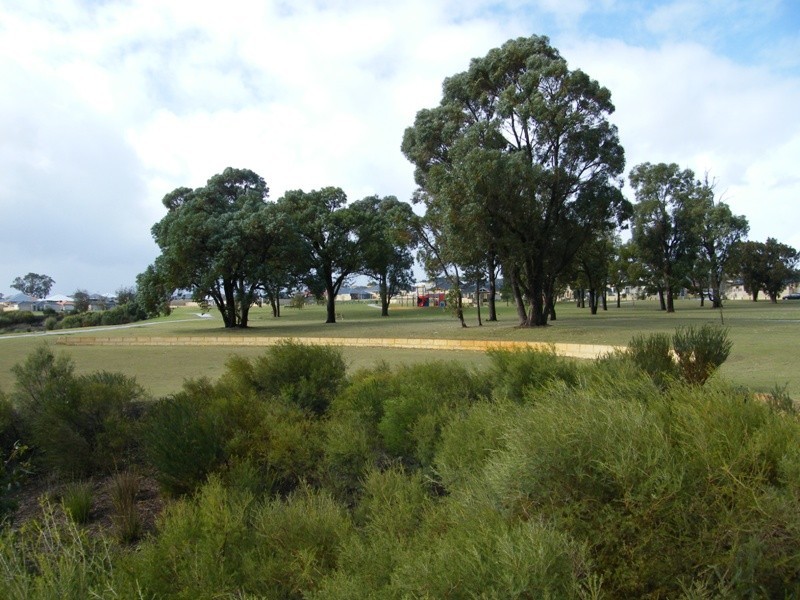 39 Barcelona Terrace, Hocking WA 6065