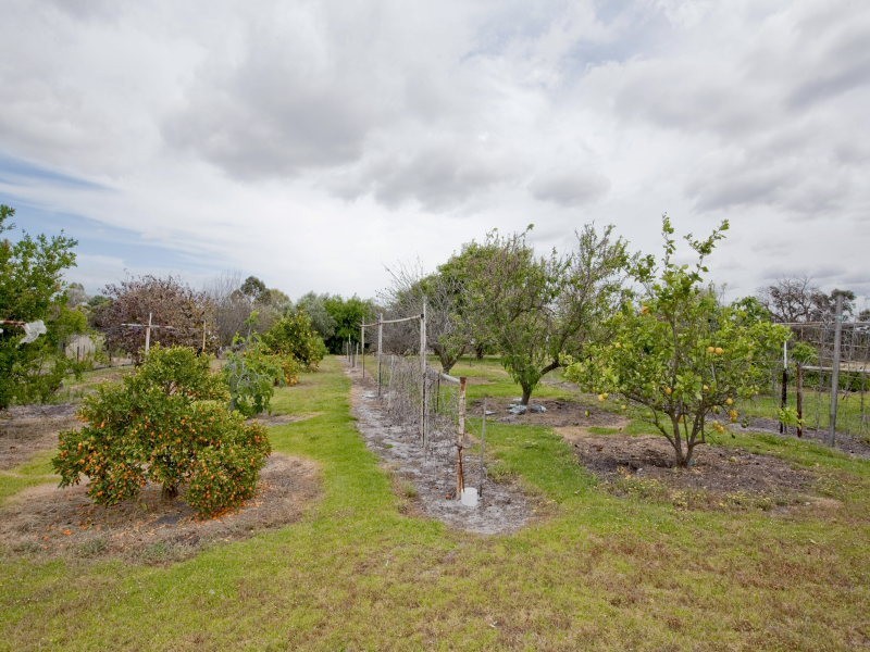 71 Lakeview Street, Wanneroo WA 6065