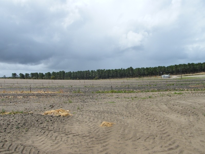 440 Old Yanchep Road, Carabooda WA 6033