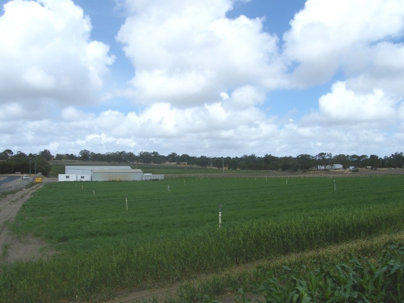 29 Tifway Place, Carabooda WA 6033