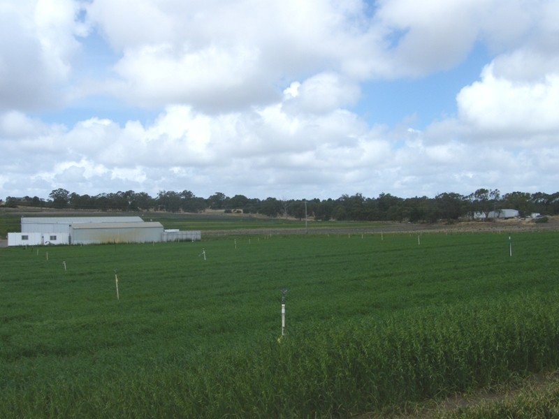 30 Carabooda Road, Carabooda WA 6033