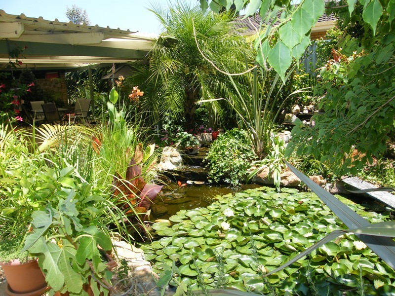 4 Woodlands Grove, Hocking WA 6065