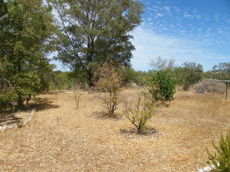 166  BIrdwood Drive, Woodridge WA 6041