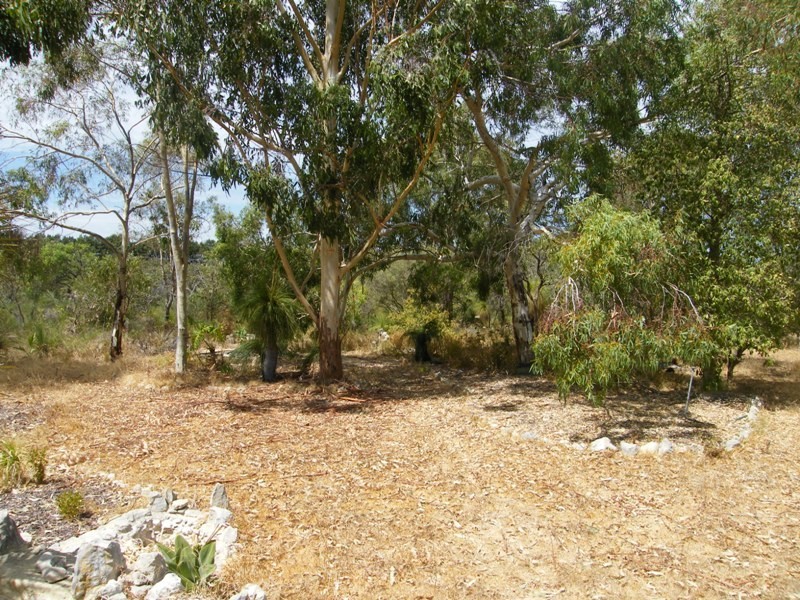 166  BIrdwood Drive, Woodridge WA 6041