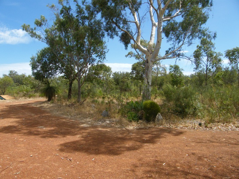 166  BIrdwood Drive, Woodridge WA 6041