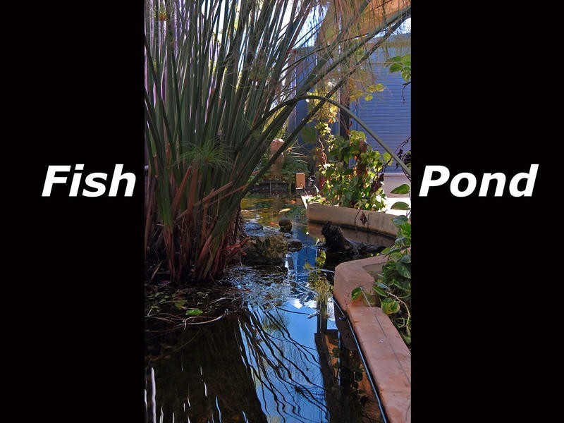 43 Compar Road, Banksia Grove WA 6031