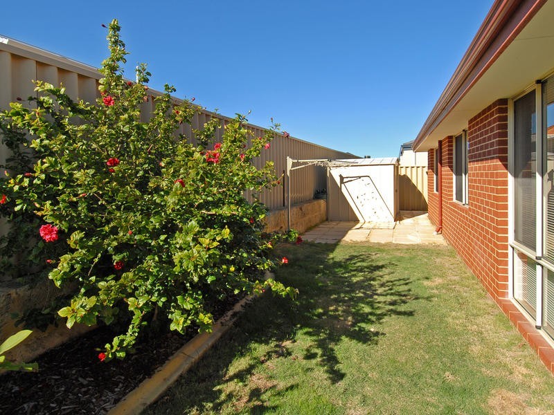 5 Ammanford Crescent, Butler WA 6036